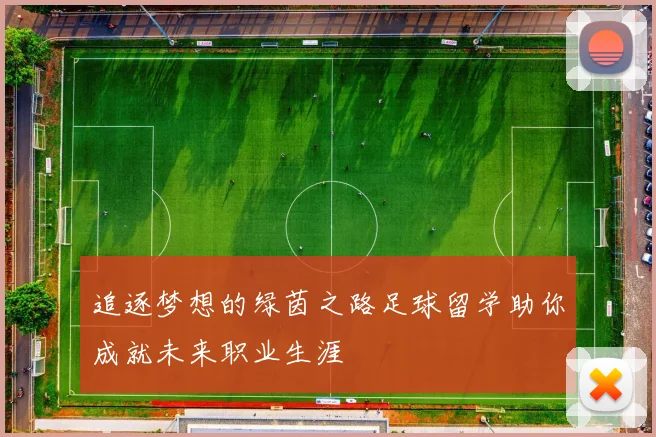 追逐梦想的绿茵之路足球留学助你成就未来职业生涯
