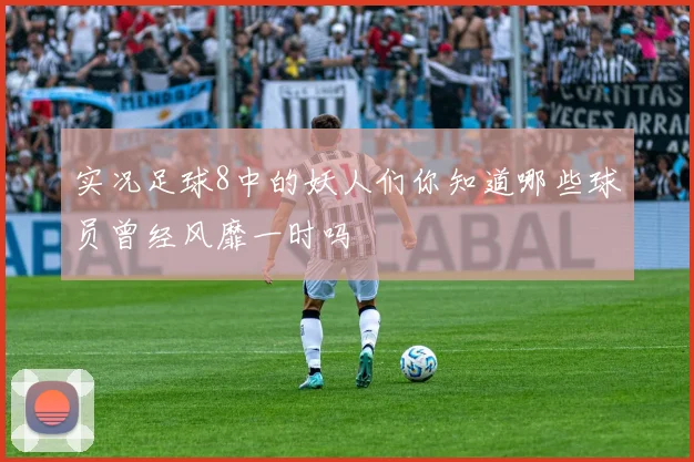 实况足球8中的妖人们你知道哪些球员曾经风靡一时吗