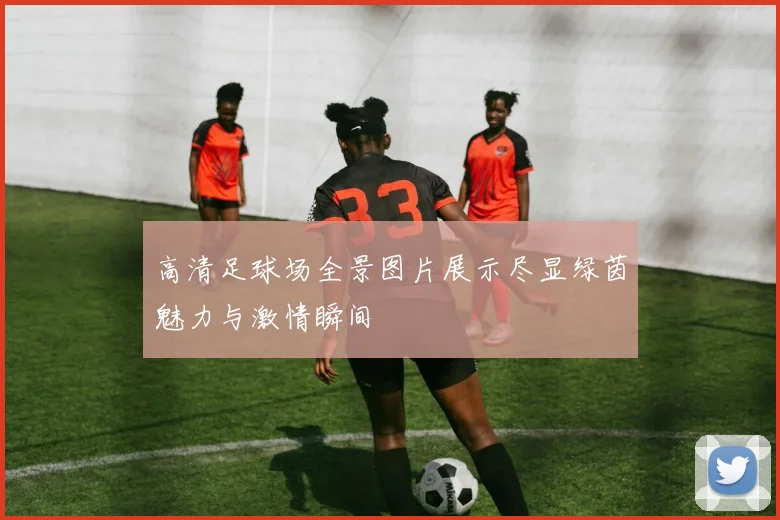高清足球场全景图片展示尽显绿茵魅力与激情瞬间