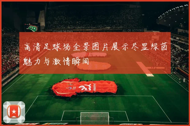 高清足球场全景图片展示尽显绿茵魅力与激情瞬间