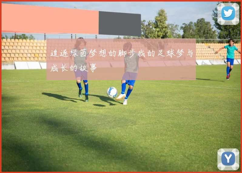 追逐绿茵梦想的脚步我的足球梦与成长的故事
