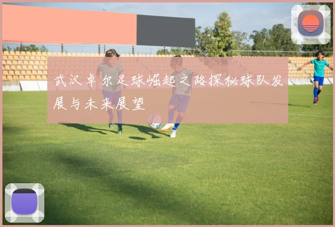 武汉卓尔足球崛起之路探秘球队发展与未来展望