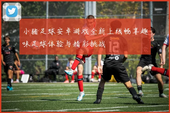 小猪足球安卓游戏全新上线畅享趣味足球体验与精彩挑战