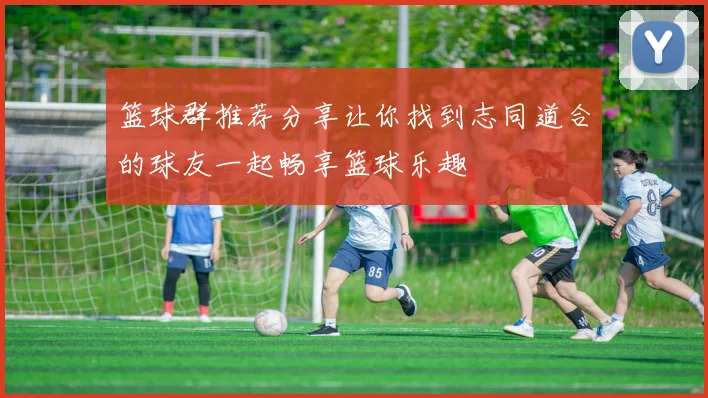 篮球群推荐分享让你找到志同道合的球友一起畅享篮球乐趣