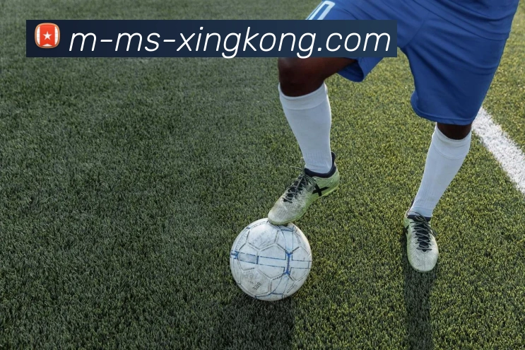 体育娱乐APP 高清赛事图